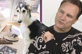 Guido Maria Kretschmer ärgert sich über Hündin: "Dafür kann sie wahnsinnig gut küssen!"