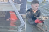 Feuerwehrleute denken, sie retten Hund: Als sie das Tier trocken rubbeln, trauen sie ihren Augen kaum