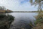 Nach massivem Fischsterben im Auensee: 