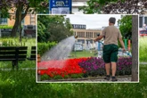 Chemnitzer Parkanlagen haben ein Pflege-Problem