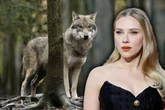 Raubtiere sollen mit Stimme von Hollywood-Star verscheucht werden