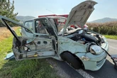 Hund springt auf den Beifahrersitz, Fiat kracht gegen Baum