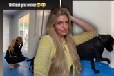 Antonia Hemmer teilt Tierheim-Video: "Wollte eh grad weinen"
