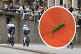 Metallsplitter auf Strecke! Ironman-Chaos in Hamburg, zahlreiche Teilnehmer gestoppt