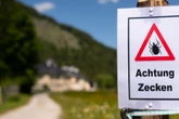 Virus auf dem Vormarsch: Verbraucherschutz warnt in Sachsen-Anhalt vor FSME