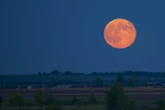 "Pink Moon": Am Wochenende dürfen wir uns auf den ersten Vollmond des Frühlings freuen