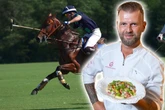 Zur Polo-Meisterschaft in Dresden: Koch Elvis packt 250 Kilo Fleisch auf den Grill