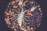 Wochenhoroskop Skorpion: So wird die nächste Woche vom 4.8. bis 10.8.2025