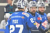 Eislöwen zahlen Lehrgeld: Adler viel zu agil für McCrea & Co.
