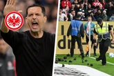 Nach dämlicher Wurfaktion in Mainz: Coach Toppmöller sauer auf Eintracht-Fans