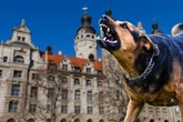 Zahl der Beißvorfälle gestiegen: Was Leipzig tut, um Hundeattacken zu verhindern