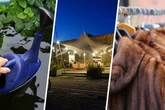 Ob Ruhe im Grünen oder Party beim Festival: Das geht diese Woche in Leipzig