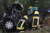 Schock-Unfall im Norden: 23-Jährige (†) verliert Kontrolle – Auch ihr Hund stirbt