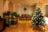 In drei Monaten geht's los, aber ... Unser Weihnachtsbaum wird teurer
