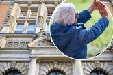 Bizarrer Nachbarschaftsstreit eskaliert: 78-Jährige soll Bäume gefällt haben