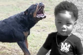 Babysitterin macht Nickerchen und lässt Jungen (†2) allein, dann zerfleischen ihn Rottweiler