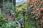 Späte Blüten und viele Früchte: Botanische Gärten starten Herbstsaison