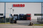 "Stinksaurer Süß-Protest": Streik im Haribo-Stammwerk legt Produktion lahm