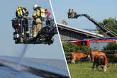 Feuerwehr löscht brennenden Kuhstall in Nossen!