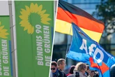 Wähler von AfD und Grünen: Studie offenbart undemokratische Gemeinsamkeit