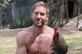 DJ Calvin Harris erschüttert: Geliebter Hahn brutal getötet