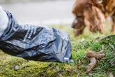 Neuer Bußgeldkatalog in Frankfurt: Hundekot und Wildpinkeln kosten jetzt richtig