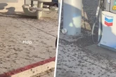 Kannibalen-Insekten fallen über Stadt her: Grillen werden tödliche Bedrohung für Menschen