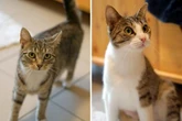 Sie mussten einiges durchmachen: Gibt es ein Happy End für Jette und Jessie?