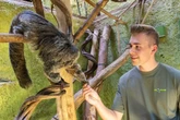 Versuch für einen Tag: Tierpfleger im Zoo sein ist das reinste Dschungel-Abenteuer