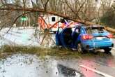 Frau und ihr Kind fahren mit Audi, dann stürzt ein Baum auf den Wagen