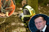 Chemnitzer Heimatforscher spekulieren über die Ampullen aus dem Ebersdorfer Wald