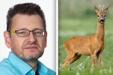 Rehbock einsam beim Verfassungsschutz - Vorerst keine Gesellschaft in Sicht