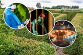 Acht sommerliche Ausflugstipps für Euren Sonntag