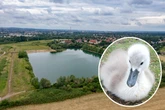 Hund tötet Schwanenbaby an der Kiesgrube