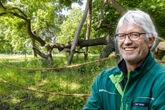 Vom Kletterparadies zum Denkmal: Die alte Eiche wird eingerahmt