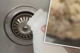 Ekel-Alarm! Darum solltet Ihr keine Milch in die Spüle kippen