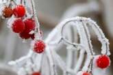 Erster Advent hat Frost im Hemd: So kühl fällt der Wochenstart aus