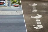 Mini-Zebras auf Dresdner Asphalt aufgetaucht: Was steckt dahinter?