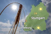 Heiße Tage, kalte Nächte: So wird das Wetter am Wochenende