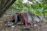 Mitten im Wald: Spaziergänger macht abseits des Weges grauenhaften Fund