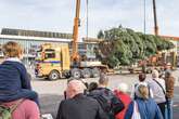 Am Wochenende kommt die Tanne für den Striezelmarkt