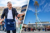 Die Striezeltanne des Sommers: Maibaum wacht wieder über dem Altmarkt