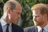 Harry will Versöhnung mit der Familie: Ist das mit William als König überhaupt noch möglich?