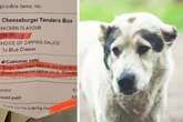 "Letzte Mahlzeit für Hund": Koch erhält Bestellung mit trauriger Notiz