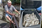 Statt Forellen will er Karpfen züchten: Extreme Hitze ruiniert sächsischen Fischzüchter