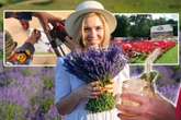 Sommerkino, Lavendelfest und Sonntagstanz: Das gibt's heute zu erleben
