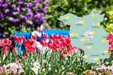 Berlin und Brandenburg: Sommerlich warm und meist trocken zum Wochenstart
