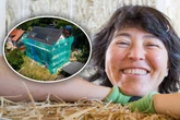 Am Wachwitzer Elbhang: Architektin baut sich ein Haus aus Stroh