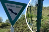 Stadt stinksauer: Randalierer flexen wiederholt Löcher in Schutzzaun