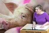 Grüne fordern härtere Strafen gegen Tierquäler: "Kaum ein Monat ohne neuen Skandal"